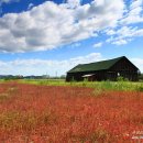 빨간창고 이미지