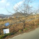 부용길1 이미지