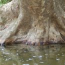 헬로(hello) 이미지