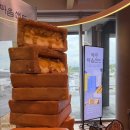 올레파크 | 먹고 카트타는 하루 (연돈, 고향생각, 올레강민, 9.81파크)