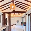 예쁨중DOG 이미지