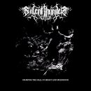 Silent Thunder - Usurping The Hall Of Might And Splendour 이미지