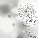 테라메드 이미지