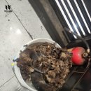 바이스클린