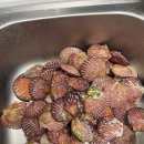 을왕리펜션 자니노니 | 인천을왕리카라반펜션 자니노니&amp;가성비좋은곳&amp;홍가리비(내돈내산)