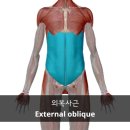 MAT PT STUDIO 이미지