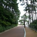 해동산야초원 | 그리움의 섬 제주도 수학여행 후기