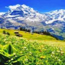 산들샬레 이미지