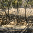 도구머리공원 이미지