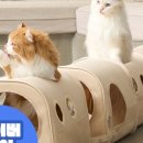 숨숨집 이미지