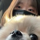 엑스퍼트짐 구파발점 이미지