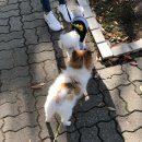 기승전견