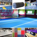 용인대 라이온 태권도장 이미지