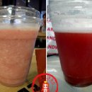 아리스타커피 Daum카페