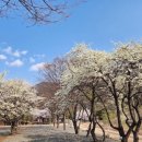 비발디 캠핑파크 설악오색점