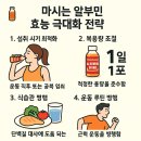 참약사약국 | 마시는 알부민 효능 극대화 전략 먹는 방법 선택시 고려사항 주의사항 가격 구매 군포 참약사산본메가약국