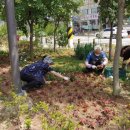 일동농장 이미지