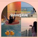 오리아뜰리에 이미지