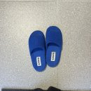 한올커텐 | 눈매에 어울리는 한올 한올 예쁜 속눈썹펌 산본속눈썹 콕스튜디오
