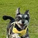 아성갈비 이미지