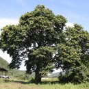 이종식농장 이미지