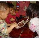 꼬꼬누리 이미지