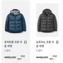 열부의성이씨정려 | [Rab] 랩 포지트론 프로 다운 패딩 오프라인 구매 후기☃️(잠실 롯백, 착샷)