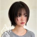 아르결 이미지