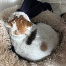 씨유( CU)성수한강한신점 | 준비됐어 매끈매끈? 물론이지 링딩동