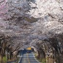 대청호코스 이미지