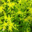 판수농장 이미지