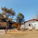 스테이 오월 이미지