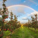 은혜농원 - 영동군 황간로 45 | 은혜농원