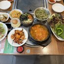 탐라도야지 이미지