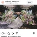 정우 | My W💐| 본식 스냅 &#39;위드 정우&#39; 계약 후기, 본식 스냅 비교 (로즈베일리, 필포토그라피)