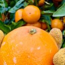 유현농장 이미지