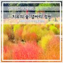 안영IC주유소 개방화장실 | 대전 댑싸리 명소 치유의숲 댑싸리 정원 위치 주차 개화정보