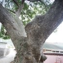 여산마을회관 이미지