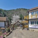 계곡뜰펜션 이미지