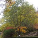 행복빌딩 이미지