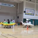 한국종합장식 - 문경시 신흥로 129 | [제주도 운동회] 한국예술종합학교 제주도 운동회 후기