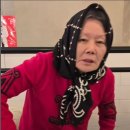 옥디 뉴시스
