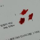 모아칼라 | 인생 첫 퍼스널컬러 진단 후기 / 화장품 진단 및 립스틱 테스트 가능한 강남퍼스널컬러 컬러모아 후기