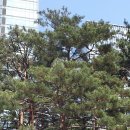 이상진 행정사 이미지