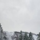 고향목장 이미지