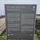 제주도 월령리 선인장 군락 이미지