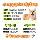 101애견유치원 네이버블로그