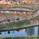 청라 호수공원 다목적구장 이미지