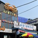 윤정대게수산 | 영덕 울진대게 : 윤정대게수산 포장 후기