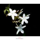 철 학 로 이미지